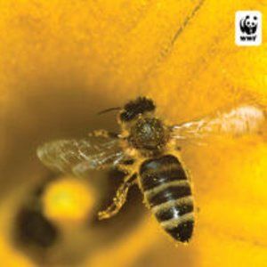 Meet your Posher, Empln24